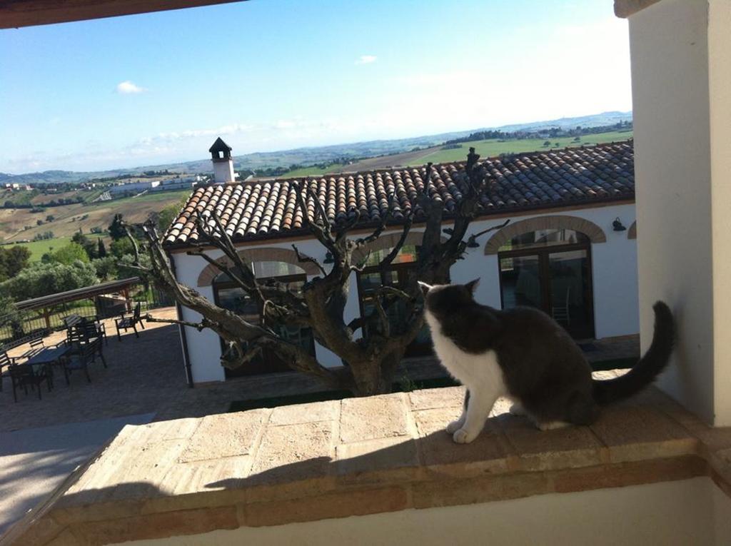 Villa Coralia Agriturismo Osimo Luaran gambar