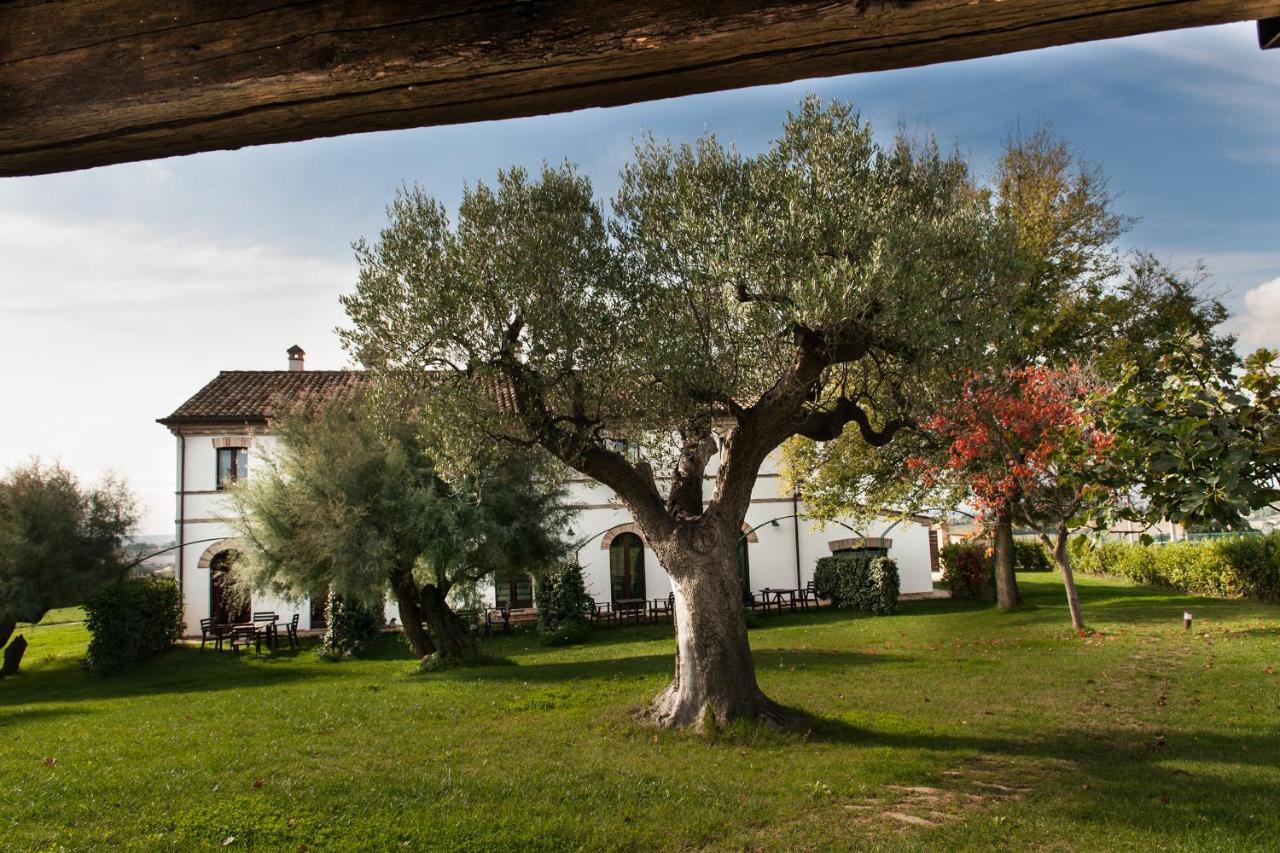 Villa Coralia Agriturismo Osimo Luaran gambar