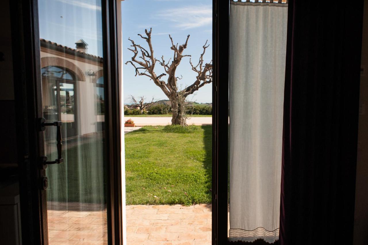 Villa Coralia Agriturismo Osimo Luaran gambar